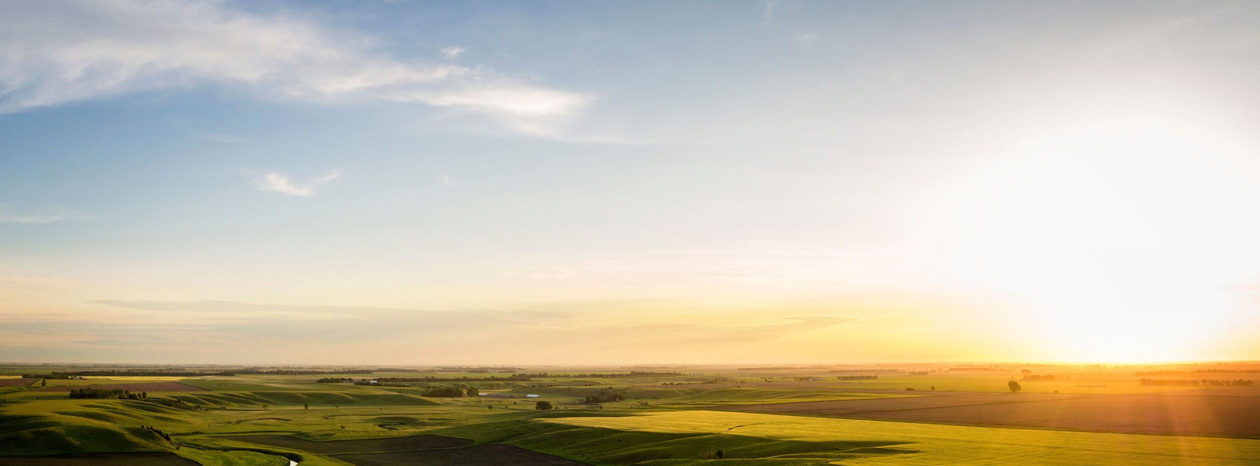 image of distant horizon of rural midwest farmland with a sunrise